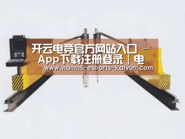 产品名称十九