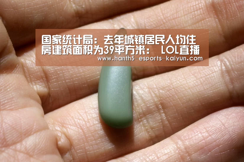 国家统计局:去年城镇居民人均住房建筑面积为39平方米: LOL直播(图4) LOL直播