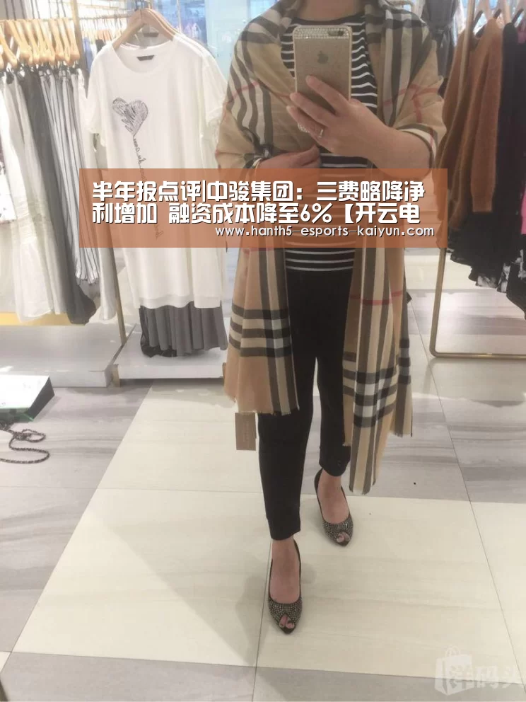 半年报点评|中骏集团:三费略降净利增加 融资成本降至6%【开云电竞】(图3) 开云电竞